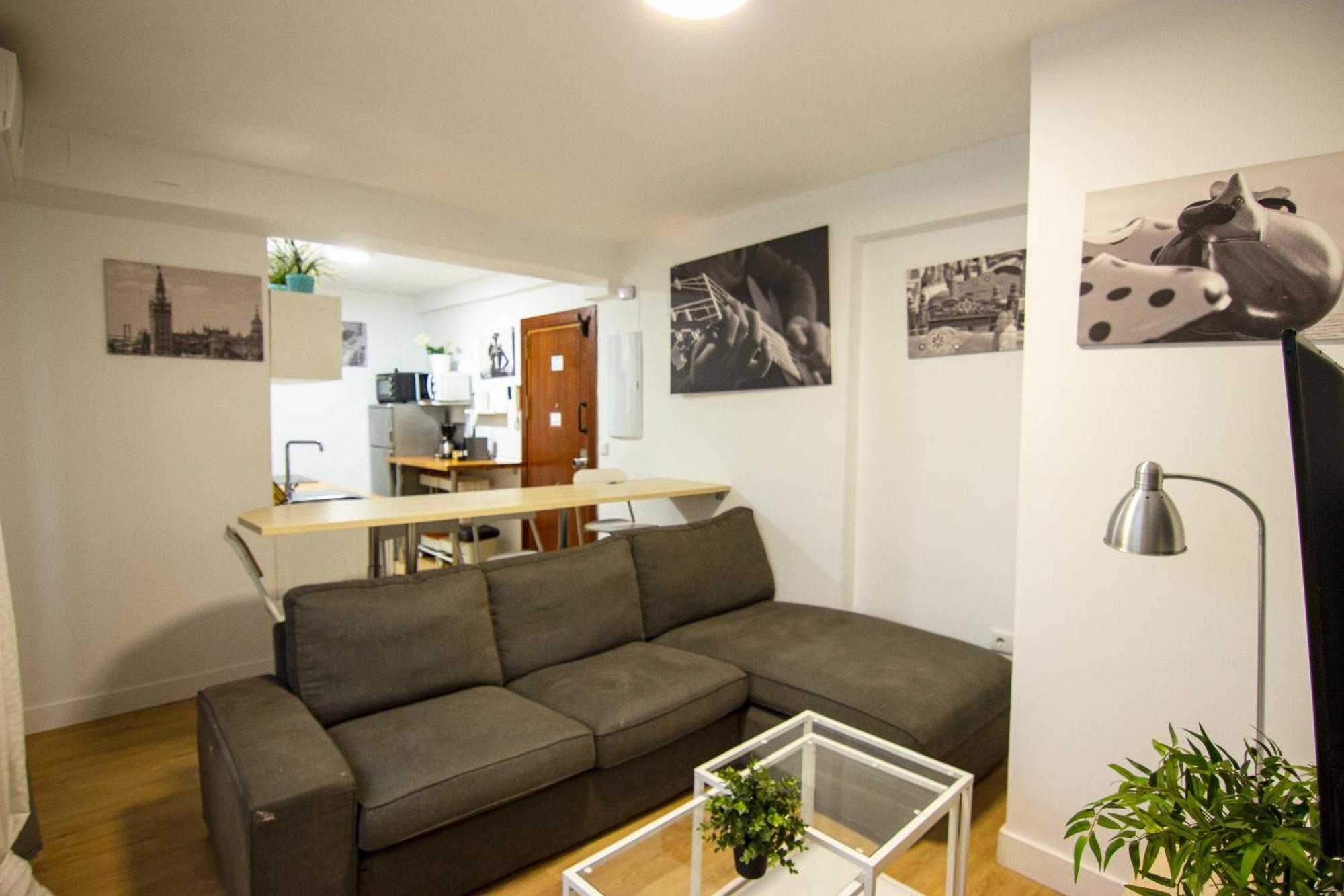 Rentalsevilla 5 En El Centro De Sevilla